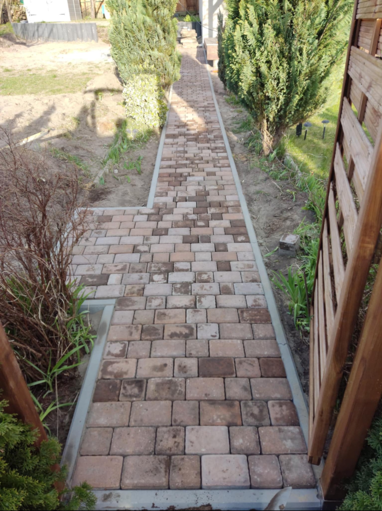 Ułożona ścieżka z brązowej kostki brukowej, ograniczona szarym obrzeżem betonowym, prowadząca przez ogród z tujami i drewnianym ogrodzeniem.