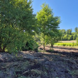 Niwelacja terenu Luzino 2