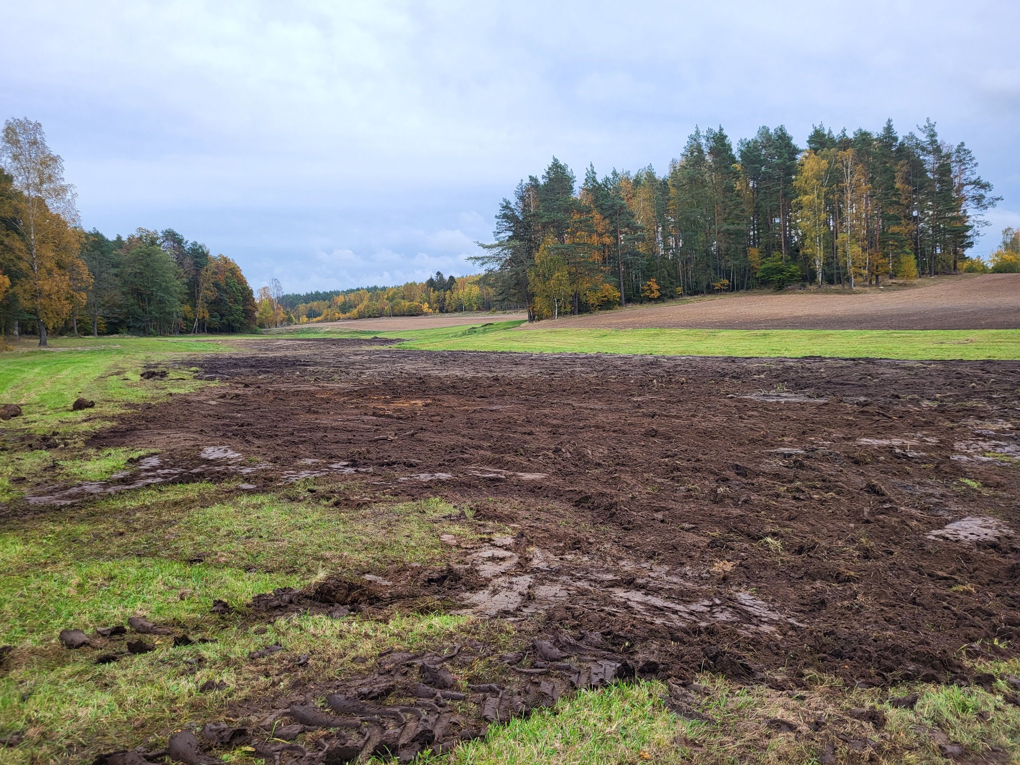 Przygotowany teren pod budowę, świeżo przekopana ziemia z widocznymi śladami opon, częściowo zachowana trawa, w tle las i pochmurne niebo.