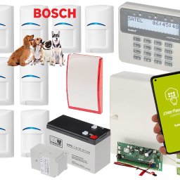 DEX-MAX PATRYK KOPERSKI - Kompletny zestaw alarmowy: czujniki ruchu z logo Bosch, centrala alarmowa Satel Perfecta z klawiaturą, akumulator, obudowa, płyta główna i smartfon z aplikacją do sterowania.