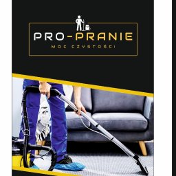 Pro-Pranie - Czyszczenie Działdowo