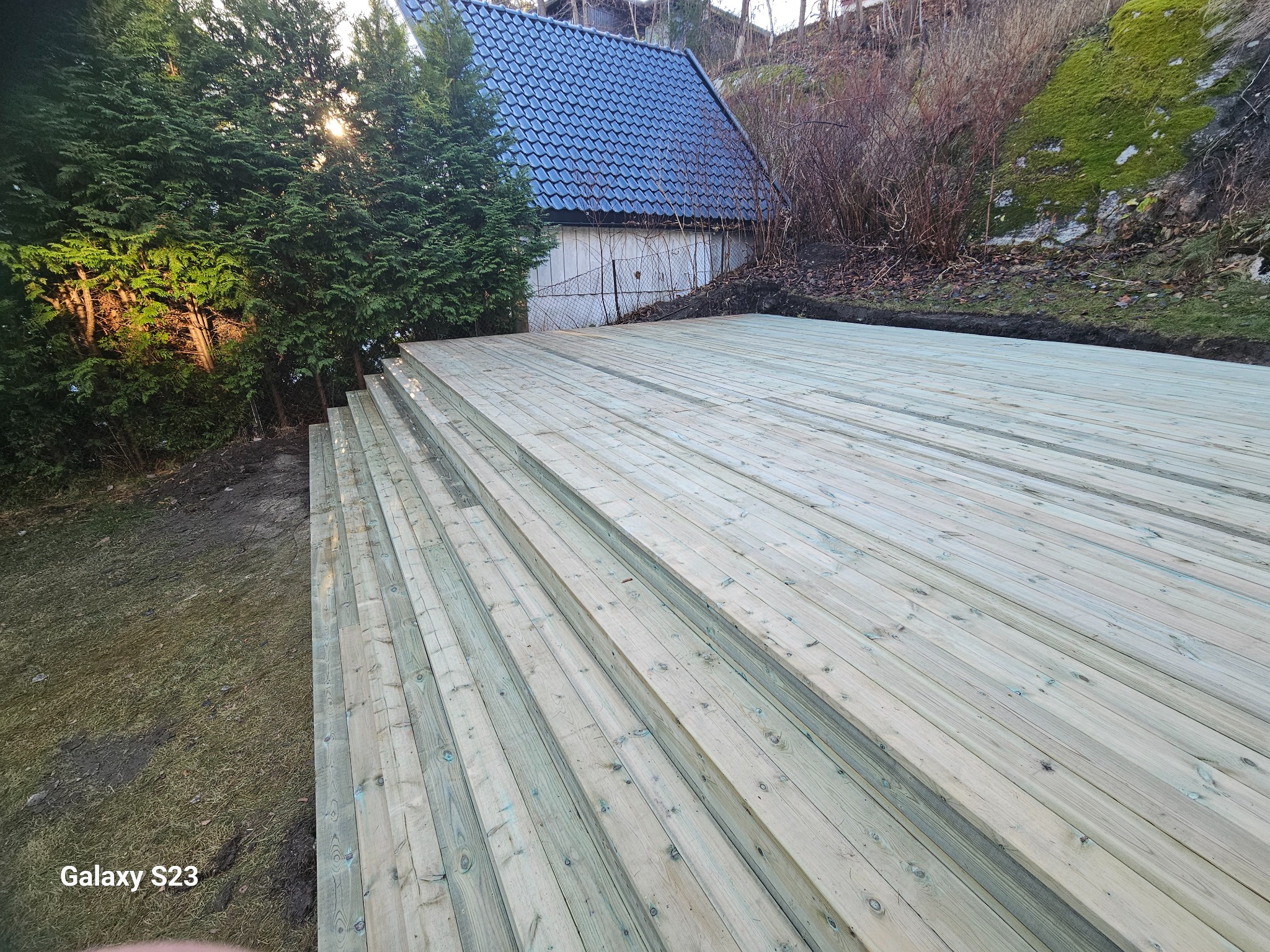 Nowy taras z jasnego drewna z widocznymi słojami, usytuowany przy zielonych tujach i niewielkim domku z ciemnym dachem, świeżo po montażu, z widocznymi śladami po pracy na ziemi.