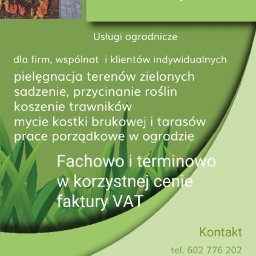 RAFAŁ SZYNKAREK TES