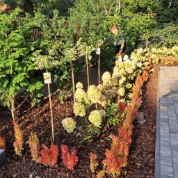 Zakładanie ogrodów Warszawa 2