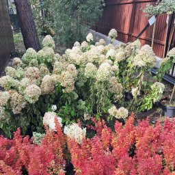 Zakładanie ogrodów Warszawa 3