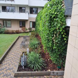 Zakładanie ogrodów Warszawa 4