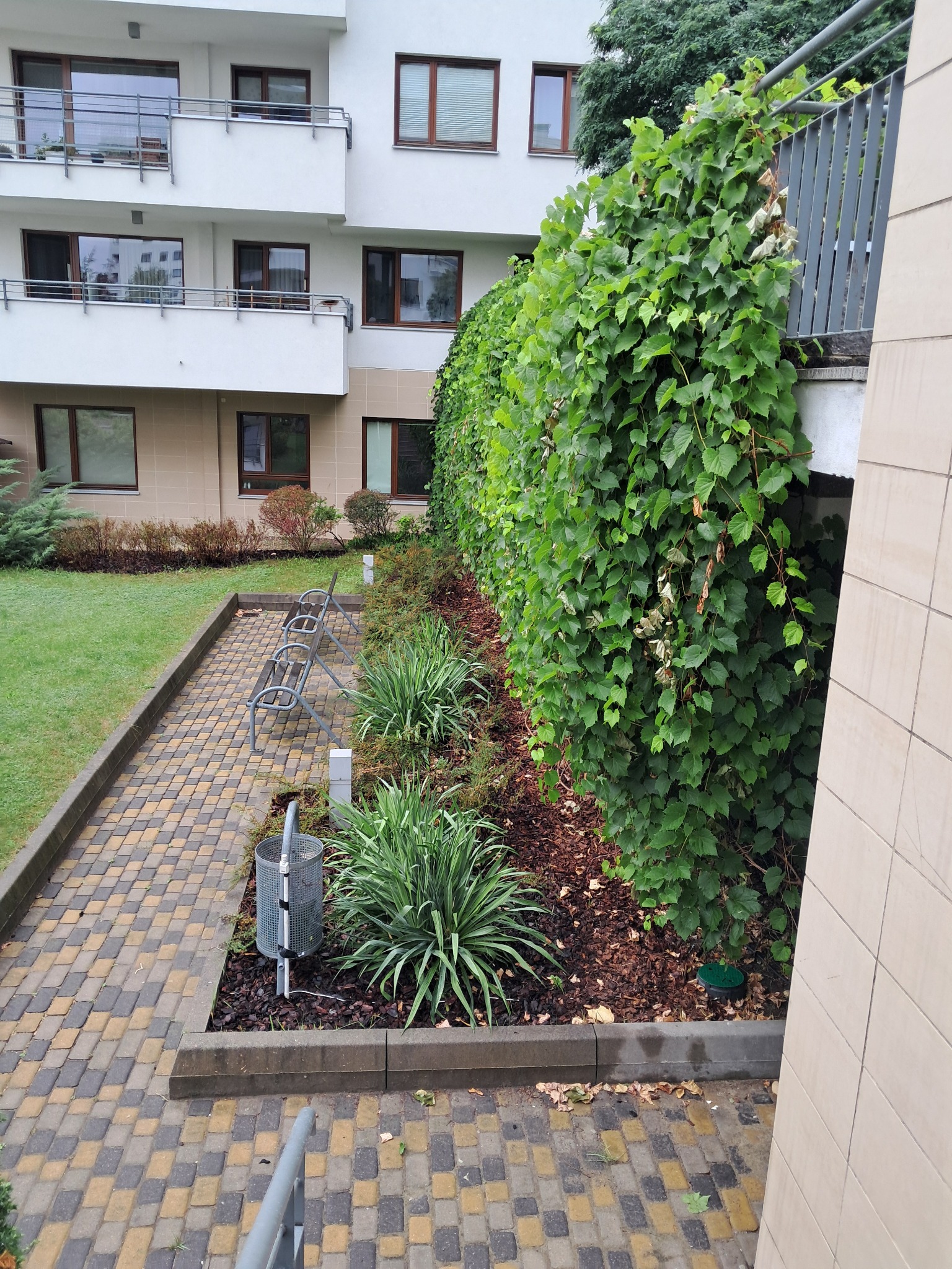 Ogród przy budynku mieszkalnym z zielonymi krzewami, pnączami na ścianie i kostką brukową, widoczne ławki i kosz na śmieci.