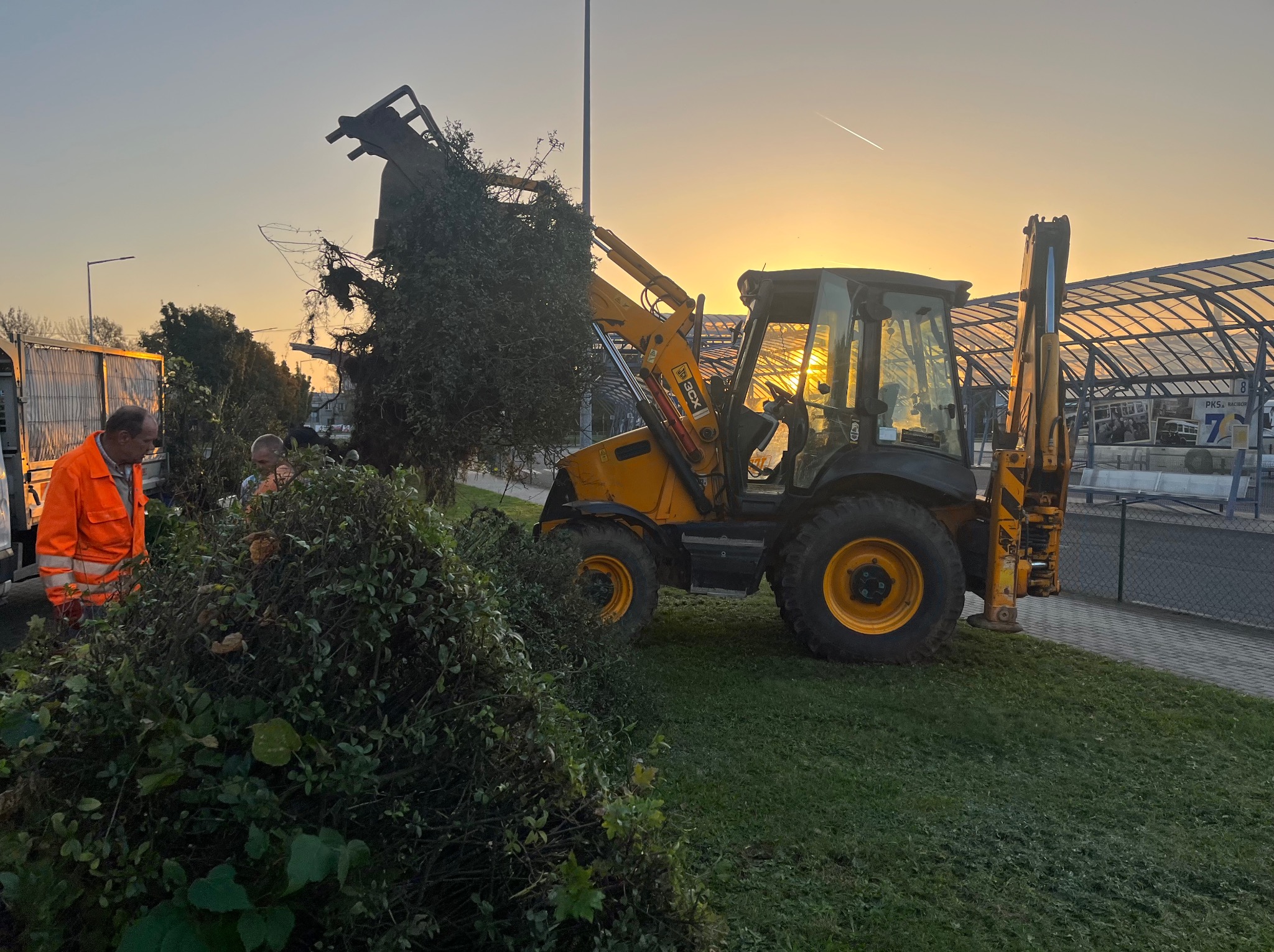 Żółto-czarna koparko-ładowarka podnosi wycięte krzewy na tle zachodzącego słońca, widoczni pracownicy w odblaskowych ubraniach i fragment budynku z przeszklonym dachem.