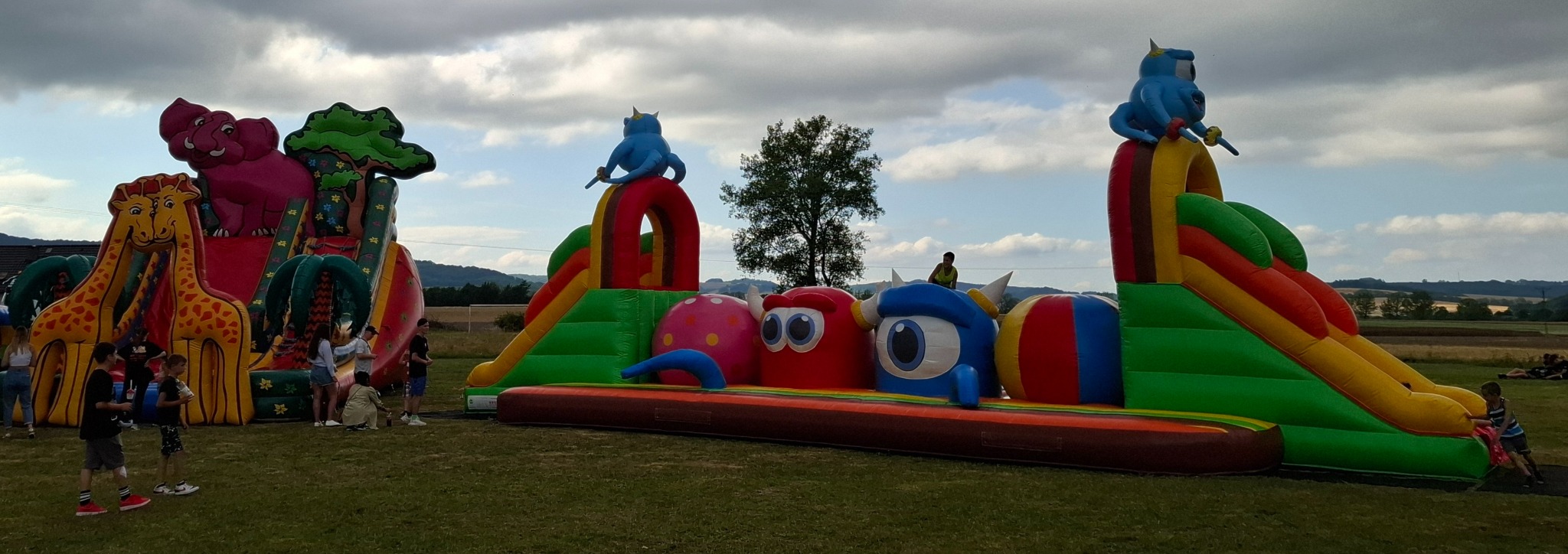 Rozległy park dmuchanych atrakcji z motywami zwierząt i postaci z bajek, ustawiony na trawiastym terenie podczas imprezy plenerowej, z widocznymi bawiącymi się dziećmi i drzewami w tle.