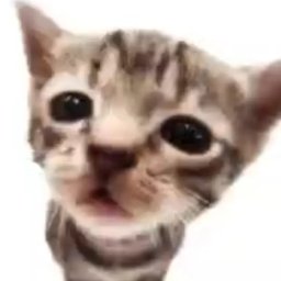 Bartosz Kądziołka - Pisanie Tekstów Na Zlecenie Tarnów