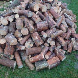 Wycinka drzew Łubowo 1