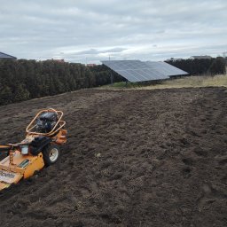 Wycinka drzew Łubowo 2