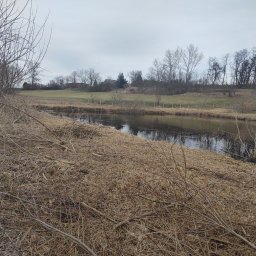 Wycinka drzew Łubowo 3