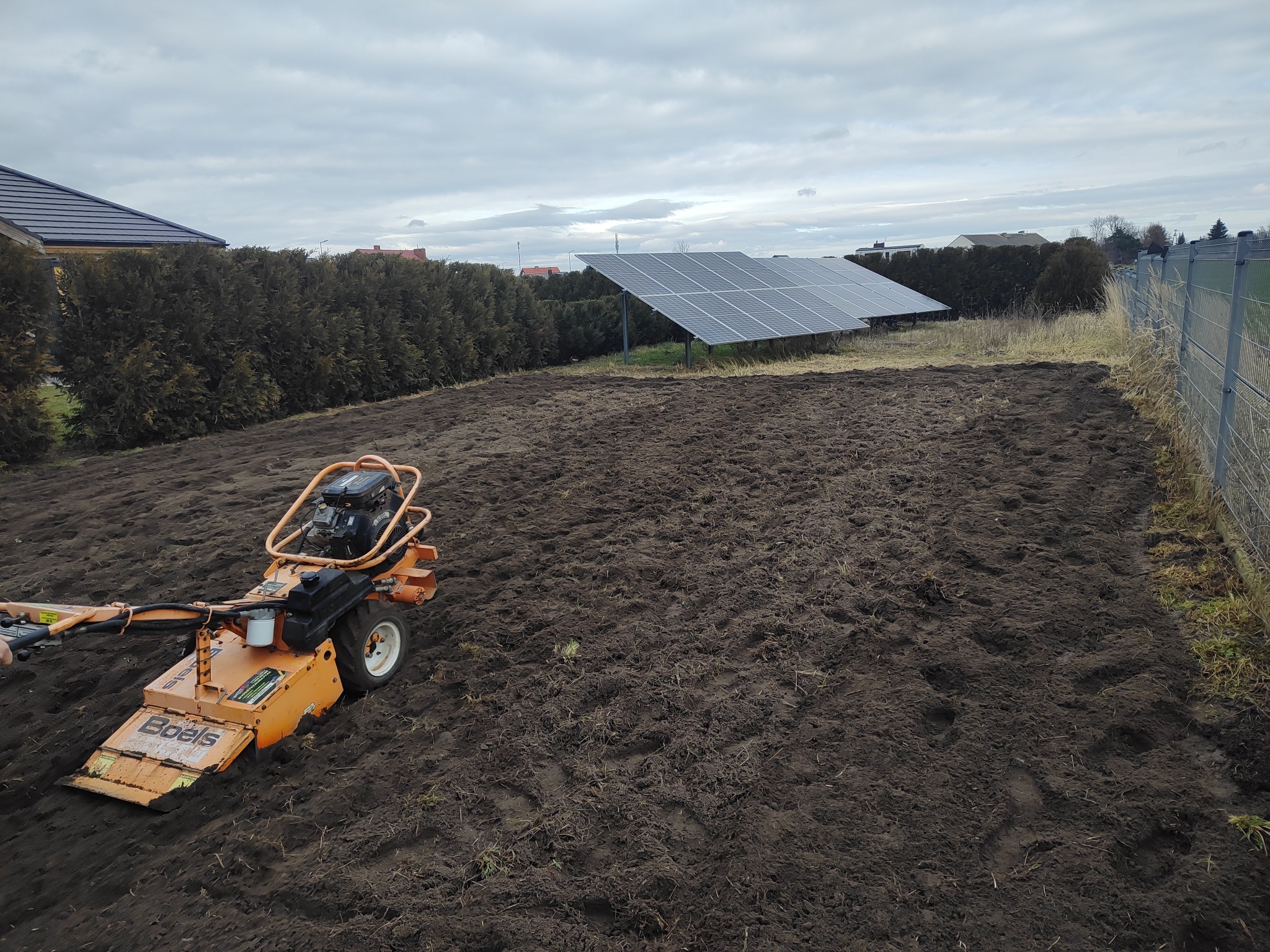 Pomarańczowy glebogryzarka marki Boels na świeżo przekopanej, ciemnej ziemi. W tle panele słoneczne, żywopłot i ogrodzenie.