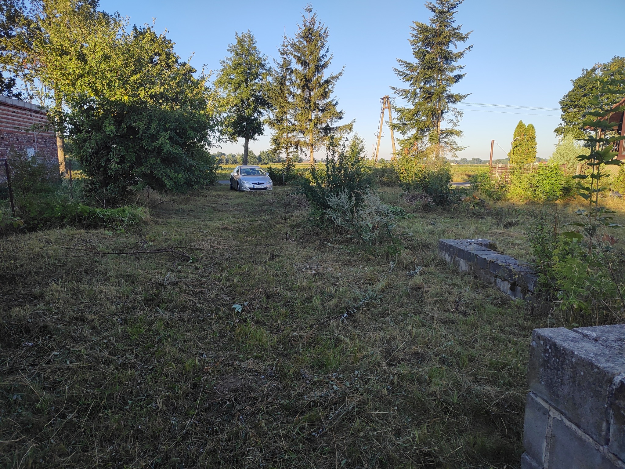 Zarośnięty trawnik z widocznym samochodem w oddali, drzewami iglastymi i słupami energetycznymi na horyzoncie, w tle budynek z czerwonej cegły.