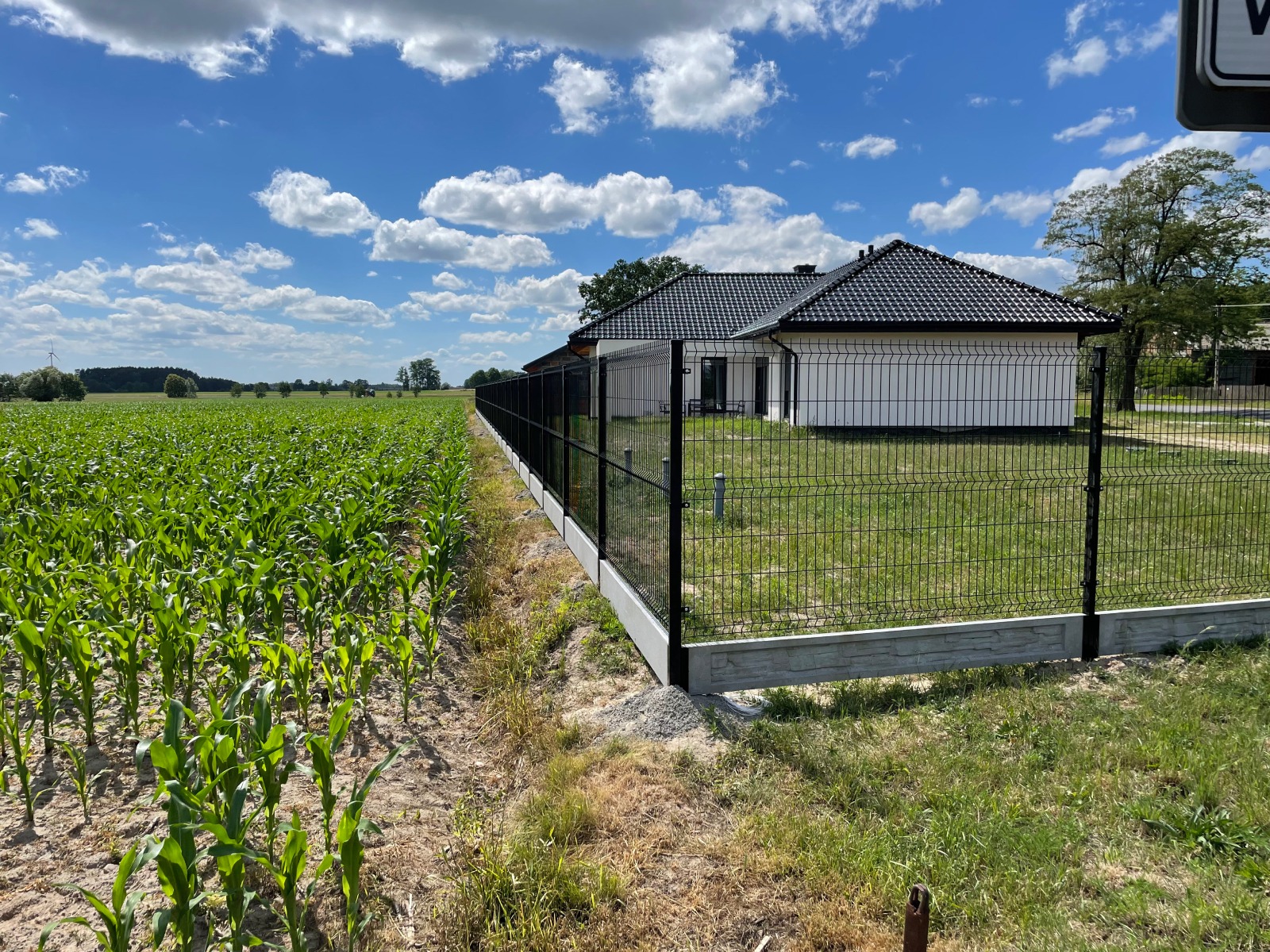 Nowoczesne, czarne ogrodzenie panelowe z podmurówką betonową, oddzielające uprawę kukurydzy od trawnika przy białym domu z ciemnym dachem na tle błękitnego nieba z chmurami.