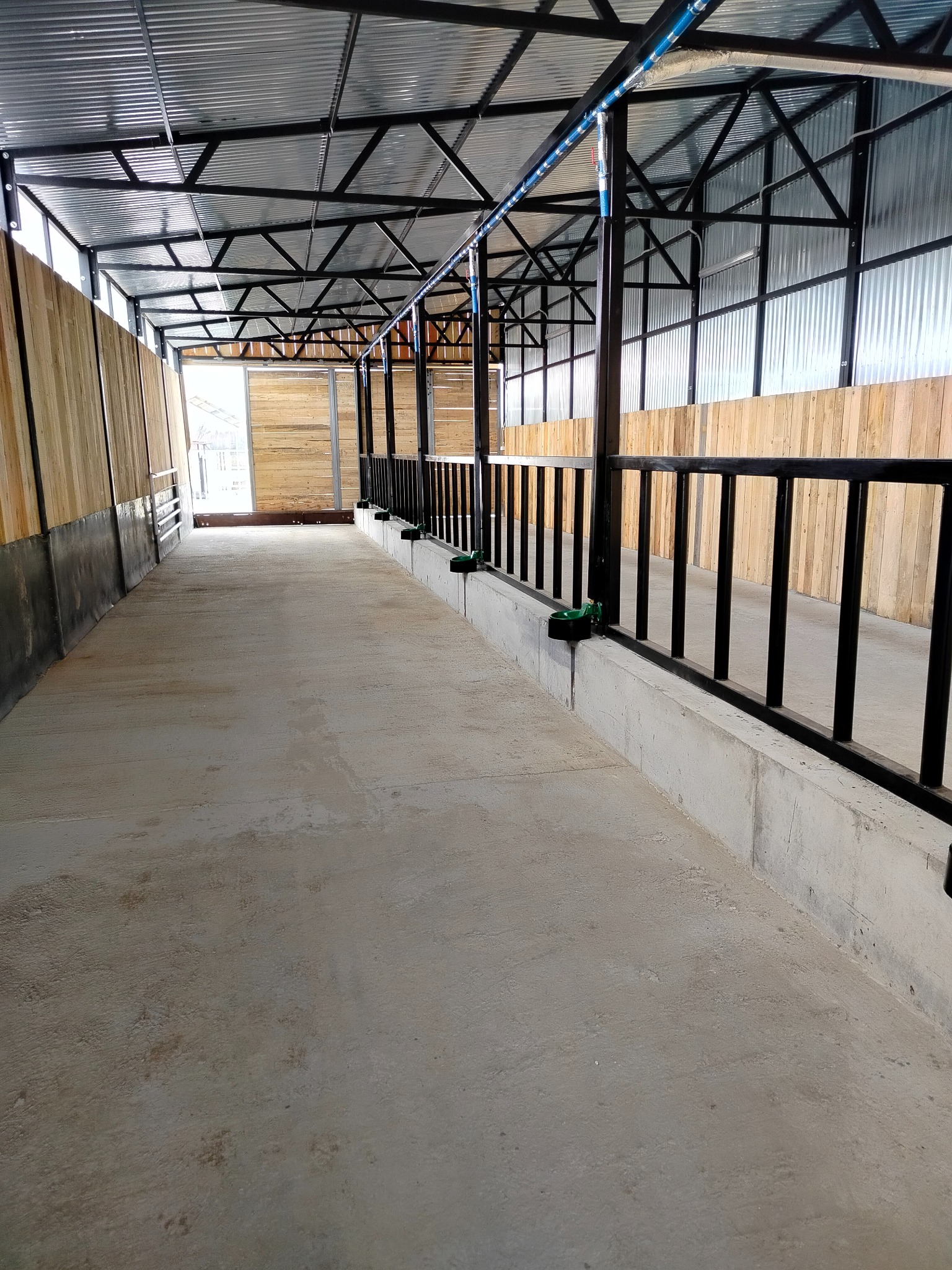 Wnętrze hali z metalową konstrukcją dachu i drewnianymi ścianami. Widoczne czarne, metalowe barierki wzdłuż korytarza i betonowa podłoga.