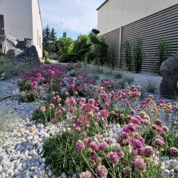 Projektowanie ogrodów Międzychód 4