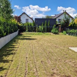 PRZEMYSŁAW BENNIG OGRODY - Zdjęcie ogrodu przed założeniem trawnika, widoczne ślady po przygotowaniu podłoża. W tle domy i ozdobne tuje wzdłuż ogrodzenia.