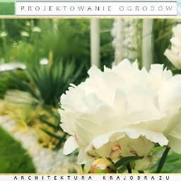 Projektowanie ogrodów Międzychód 2