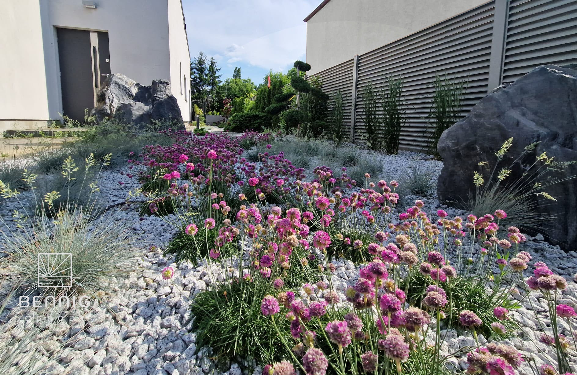 Ogród z białym żwirem, różowymi kwiatami i ozdobnymi kamieniami. W tle budynek z szarą elewacją i drewnianym ogrodzeniem. Uwagę przykuwa spiralnie uformowane drzewo.