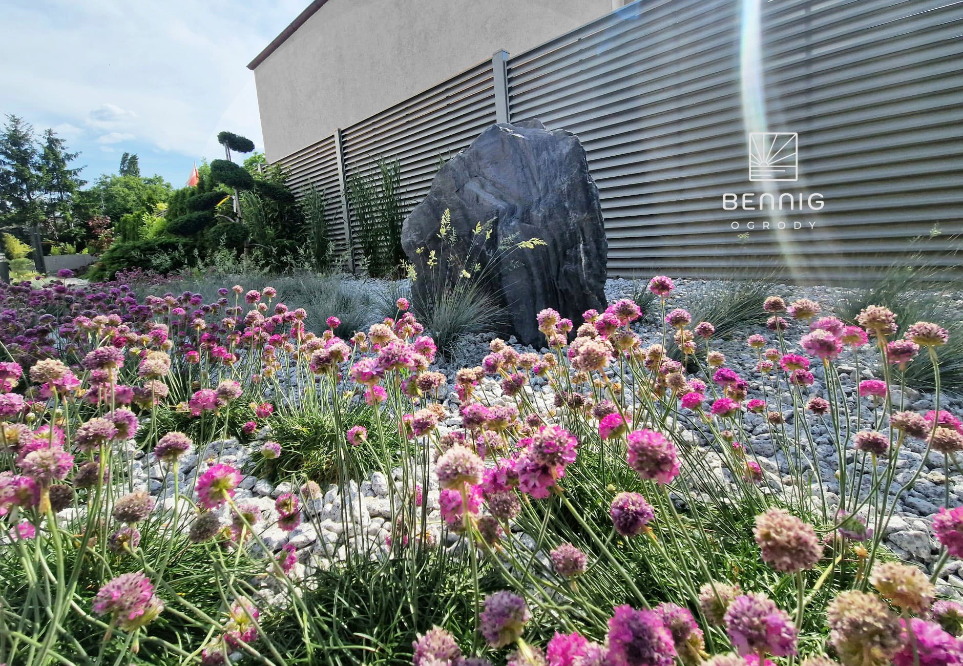 Ogród z kwitnącymi różowymi kwiatami, białym żwirem i dużym kamieniem. W tle nowoczesne ogrodzenie i budynek. Logo firmy Bennig Ogrody w prawym górnym rogu.