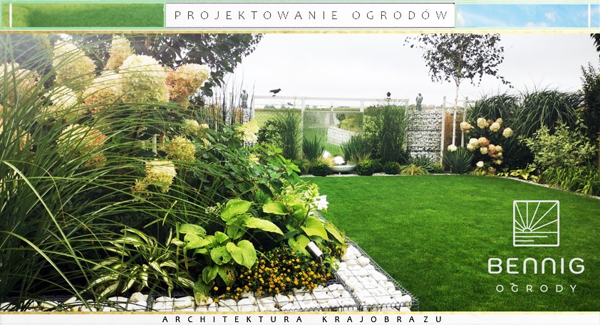 Zaprojektowany ogród z trawnikiem, rabatami kwiatowymi i gabionami. Widoczne hortensje, trawy ozdobne i białe kamienie. W tle białe ogrodzenie i drzewa.