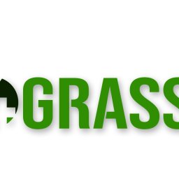 4GRASS ALEKSANDER KAPNIK - Piękne Ogrody Zielonki-Parcela