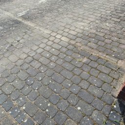 Michał Obarzanek Clean Brothers - Częściowo wyczyszczona, szara kostka brukowa z widocznymi plamami i mchem w spoinach, ukazująca różnicę w wyglądzie przed i po czyszczeniu. Fragment muru po prawej.