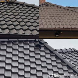 Usługi w ogrodzie Człuch&oacute;w