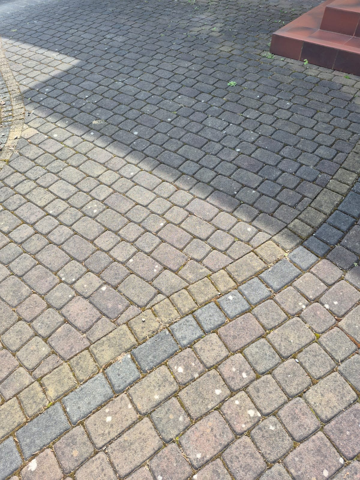Kostka brukowa przed czyszczeniem, widoczne zabrudzenia i mech na powierzchni. Część kostki w cieniu, reszta oświetlona słońcem. Widoczne schody z płytek.