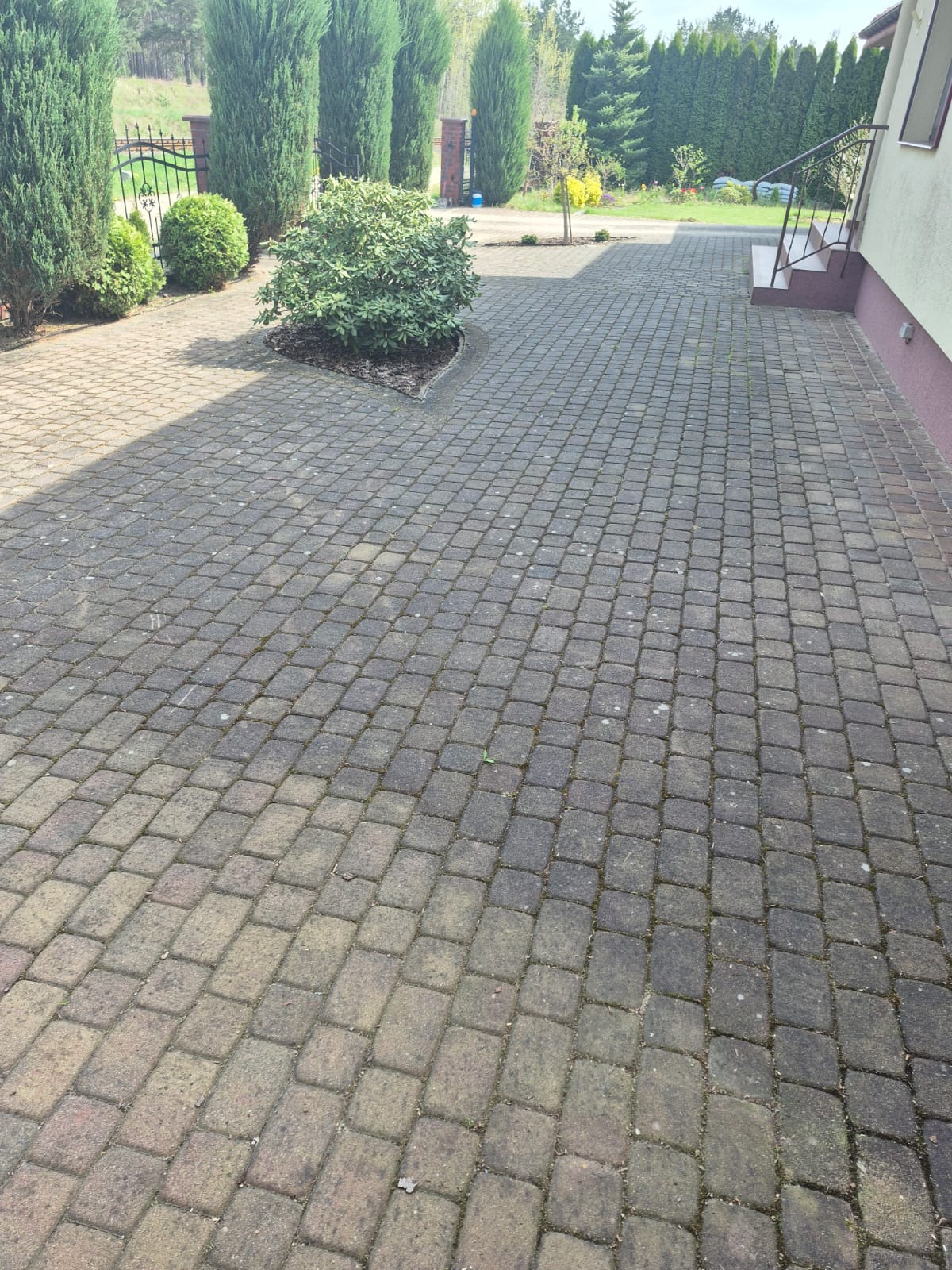 Szara kostka brukowa na podjeździe domu w słoneczny dzień. Widoczne krzewy i drzewa iglaste w tle. Częściowo zacieniona powierzchnia kostki.