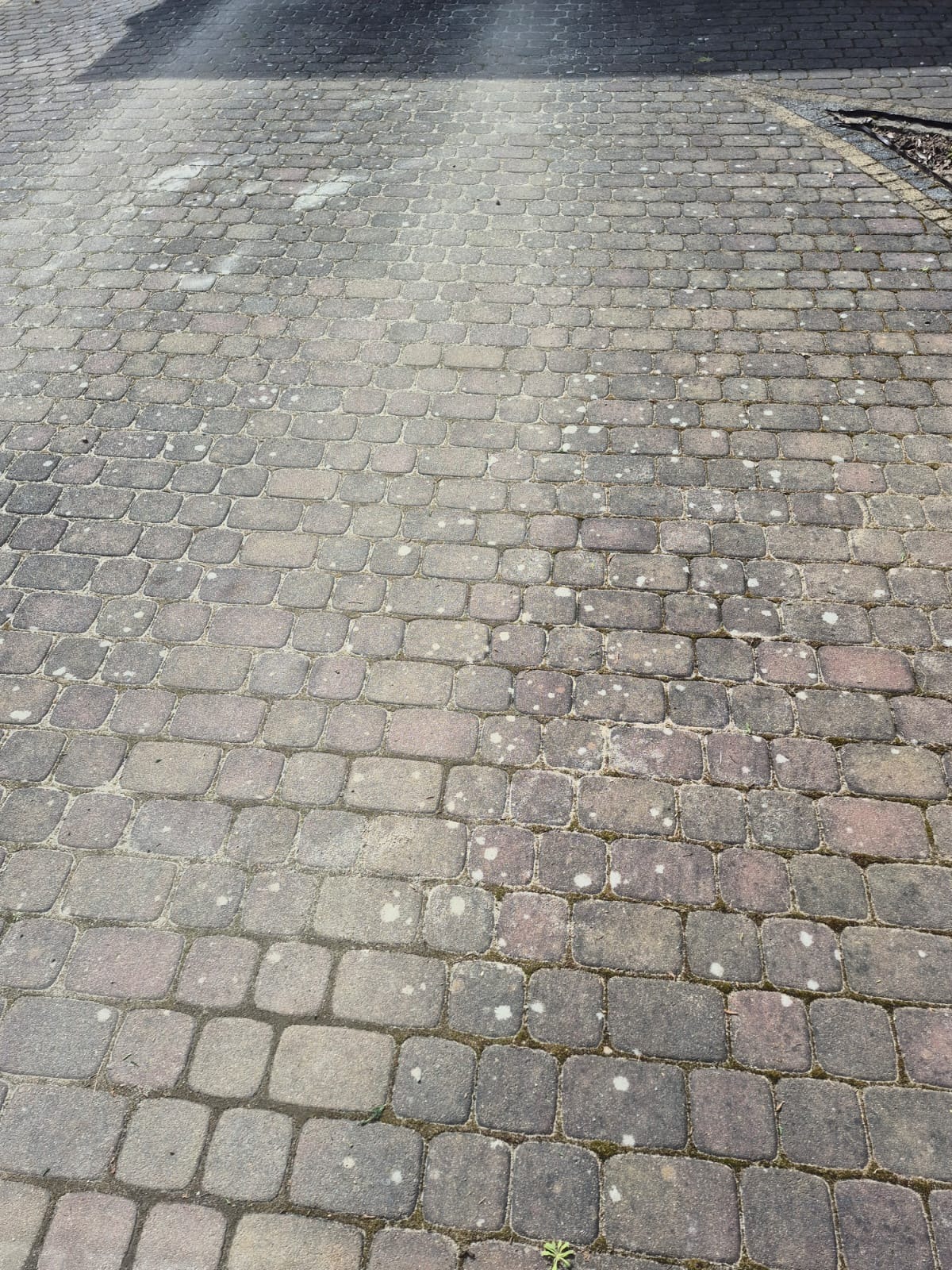 Zaniedbana kostka brukowa w zbliżeniu, z widocznymi plamami, mchem i zabrudzeniami. Widoczne drobne chwasty wyrastające spomiędzy kostek. Perspektywa z góry ukazuje stopień zabrudzenia.