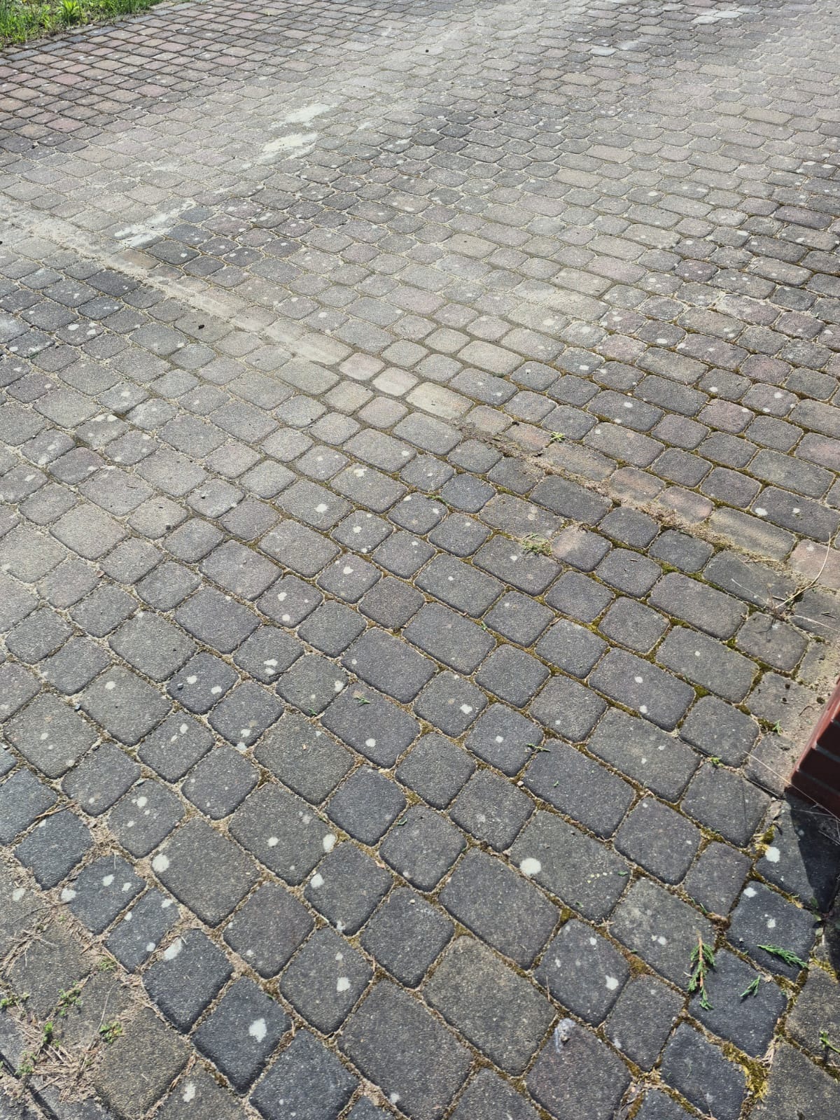 Częściowo wyczyszczona, szara kostka brukowa z widocznymi plamami i mchem w spoinach, ukazująca różnicę w wyglądzie przed i po czyszczeniu. Fragment muru po prawej.