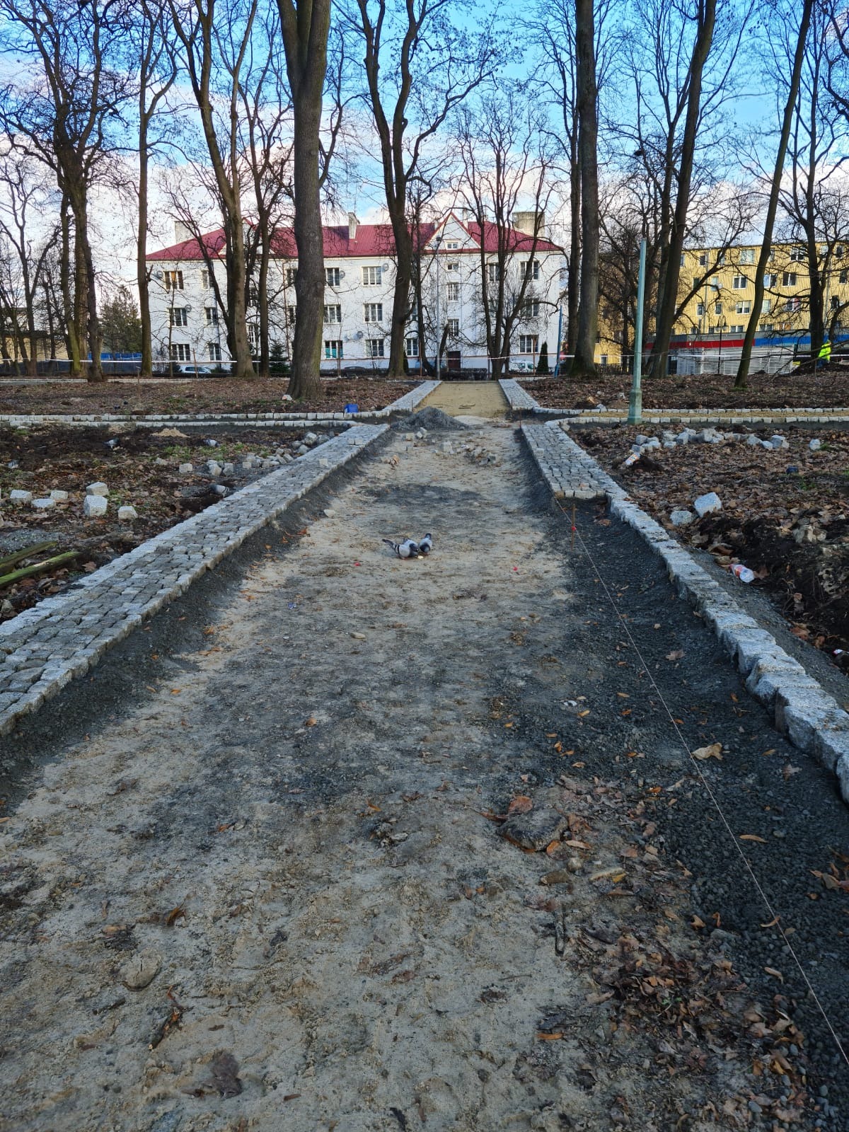 Budowa ścieżki w parku z obrzeżami z kostki granitowej, w tle budynek mieszkalny i drzewa, dwa gołębie na ścieżce.