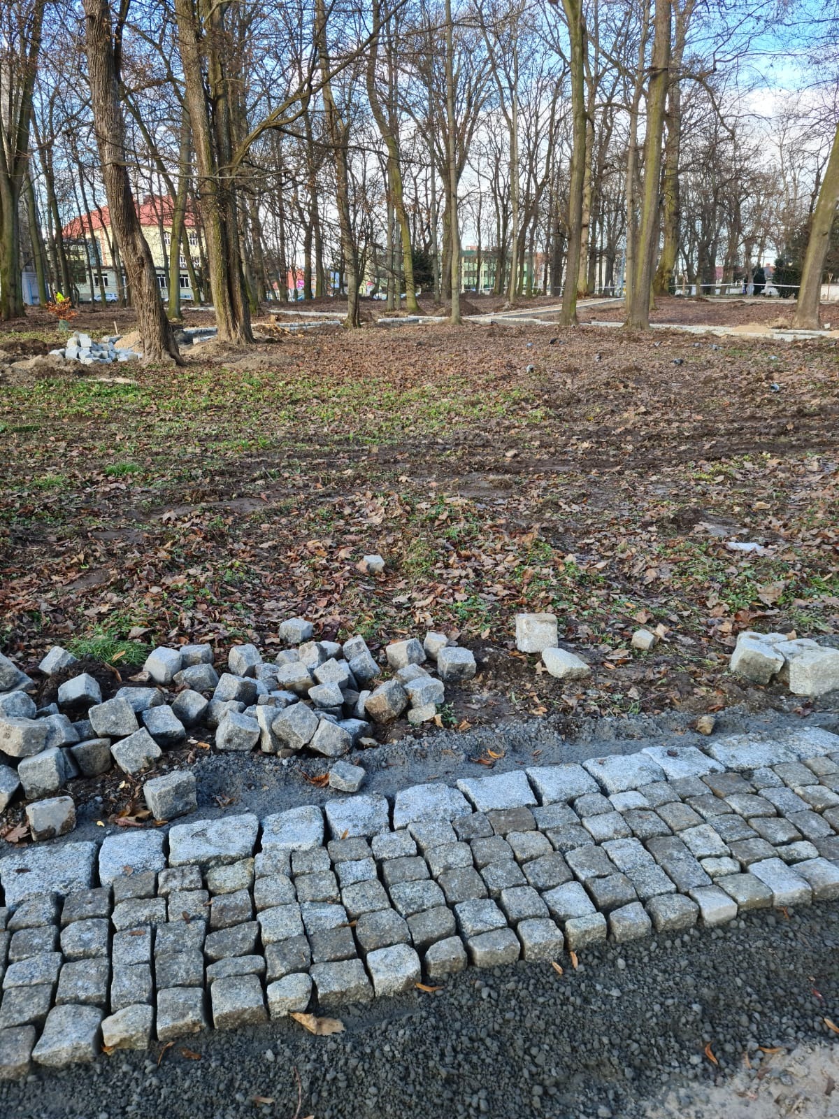 Fragment układania kostki granitowej w parku, z widocznymi ułożonymi rzędami kostki i stertą nieułożonych kostek obok, w tle drzewa i liście.