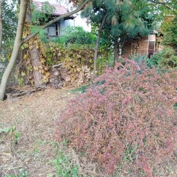 Pan Ogrodnik - Przed domem Pruszków