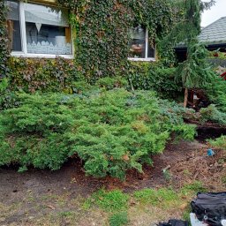 Pan Ogrodnik - Przed domem Pruszk&oacute;w