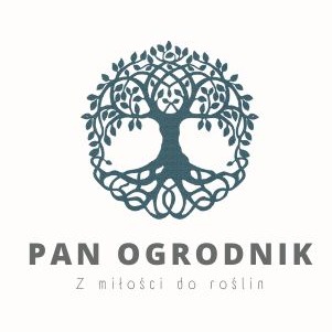 Zapraszam do współpracy :)