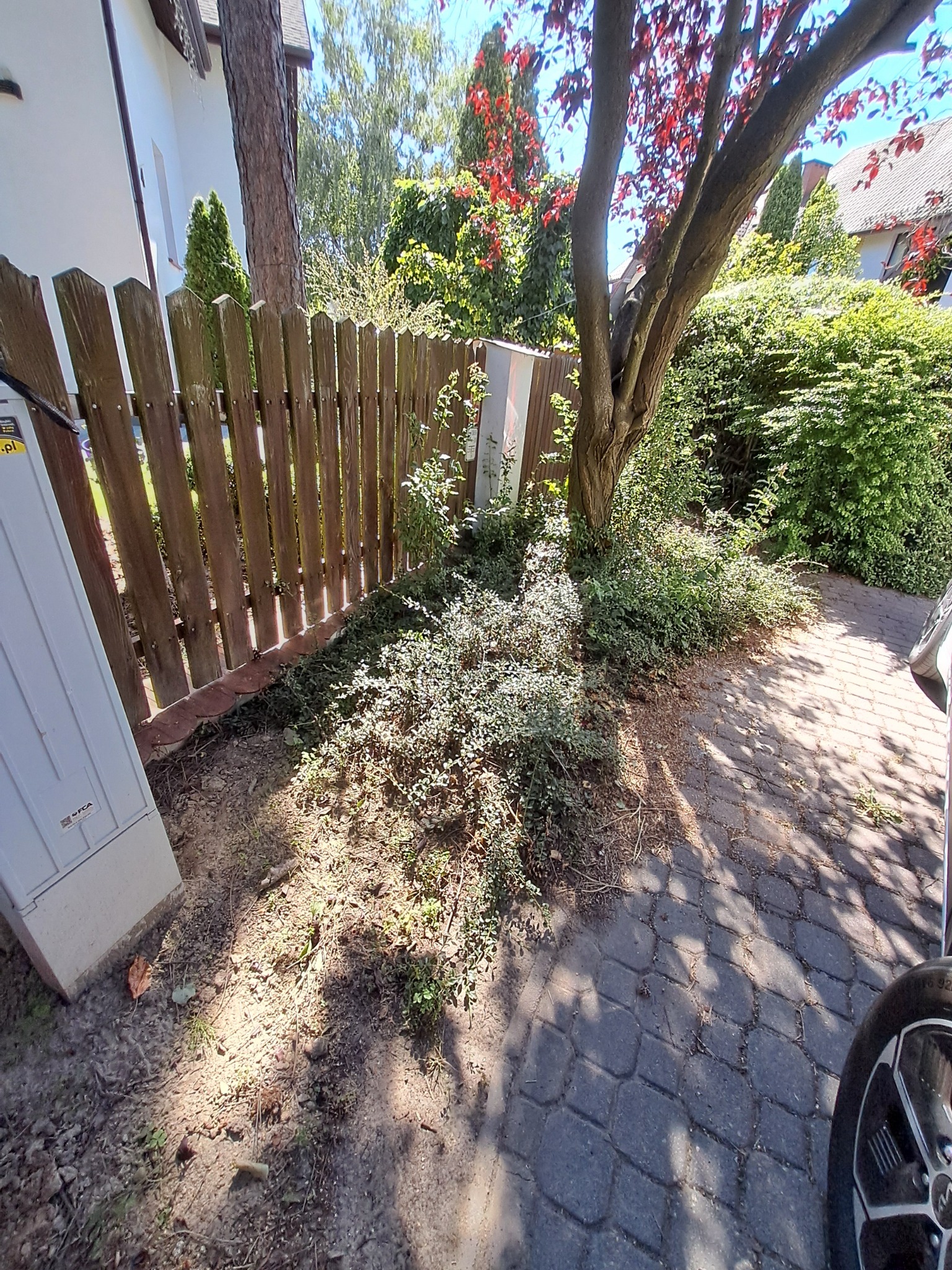 07/2025 Komorów - przed rozpoczęciem prac