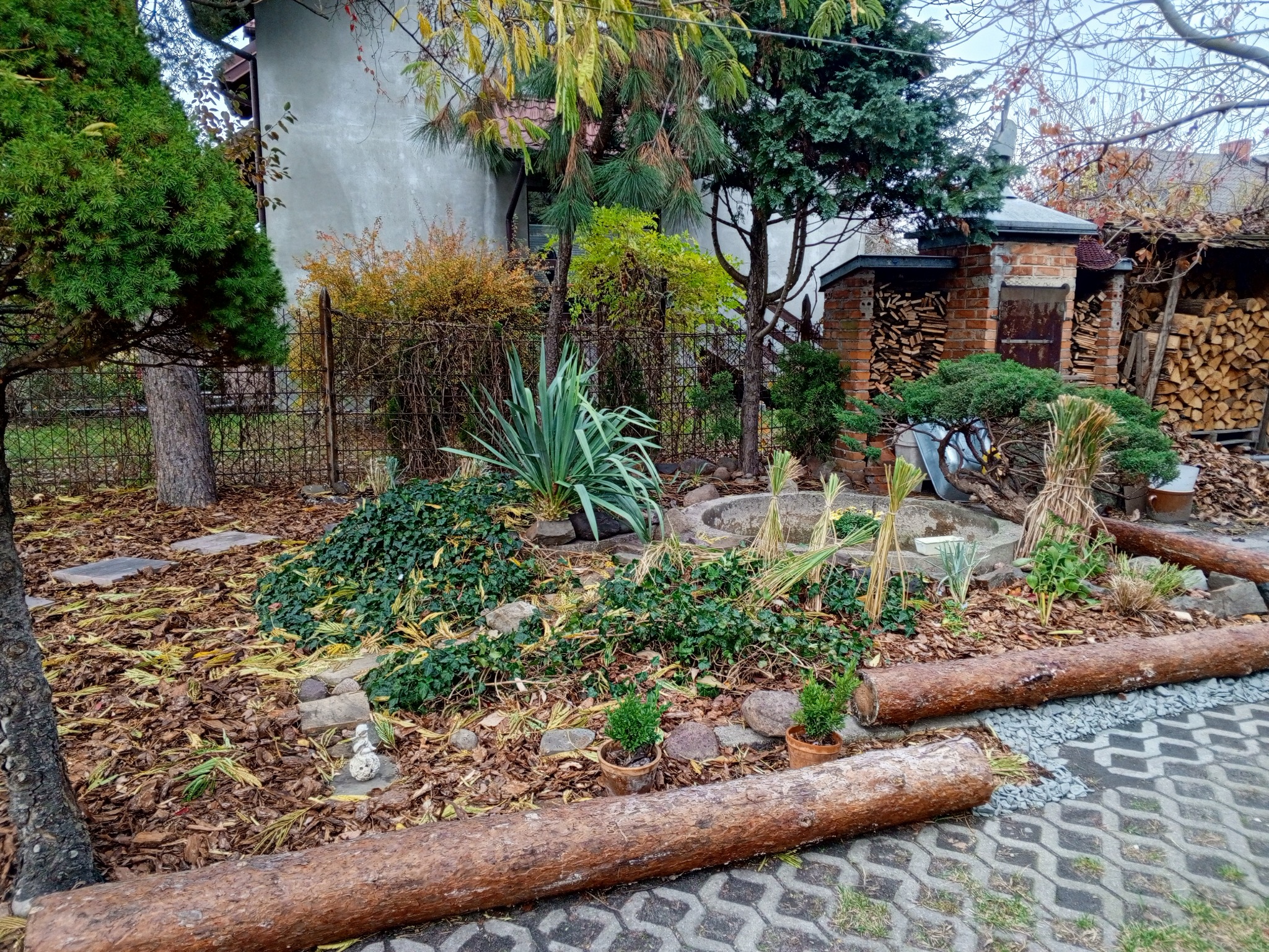 10/2025 - odświeżenie ogrodu u Klientki, Pruszków - inne ujęcie po (2/2)