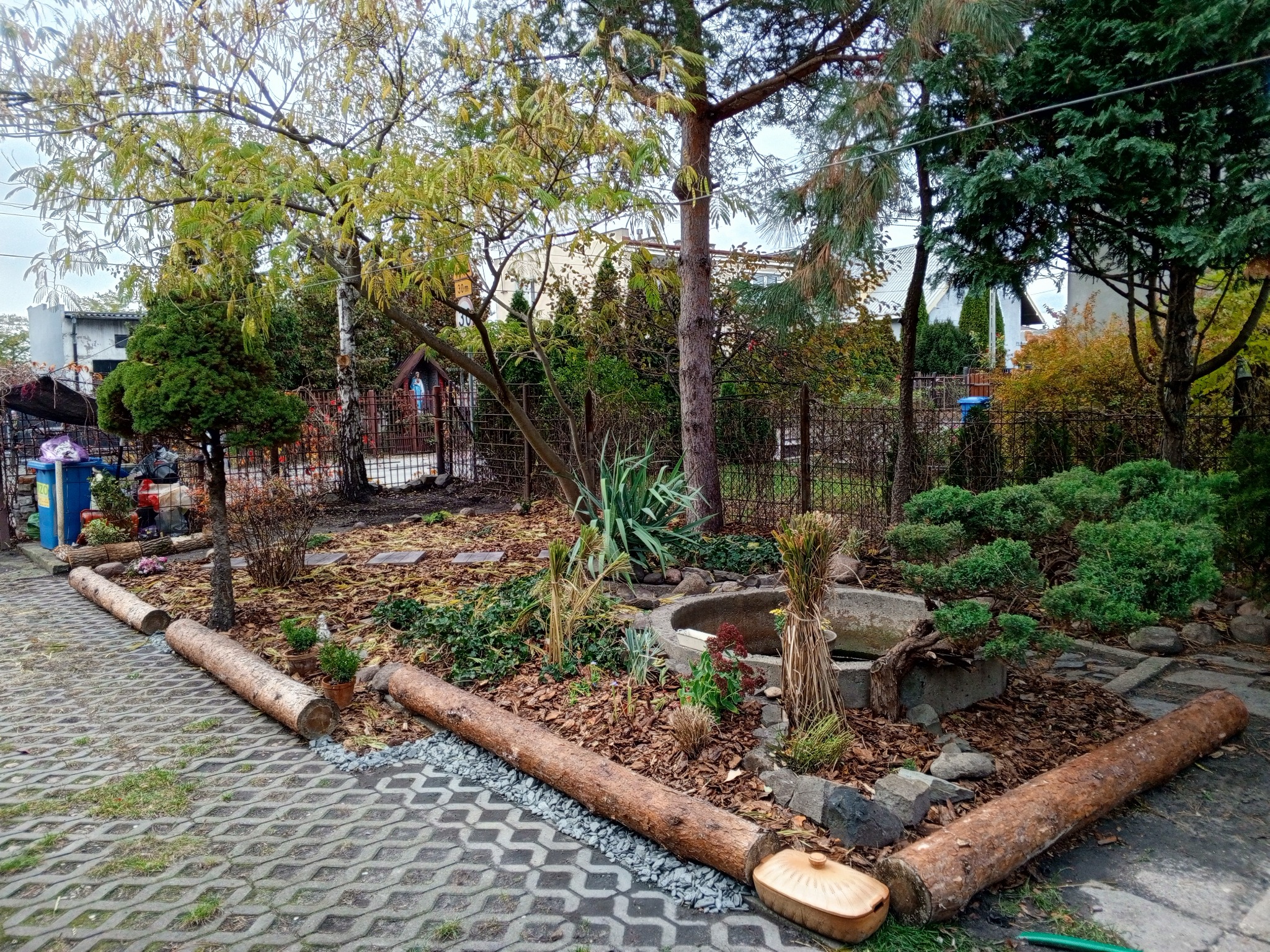 10/2025 - odświeżenie ogrodu u Klientki, Pruszków - inne ujęcie po (1/2)