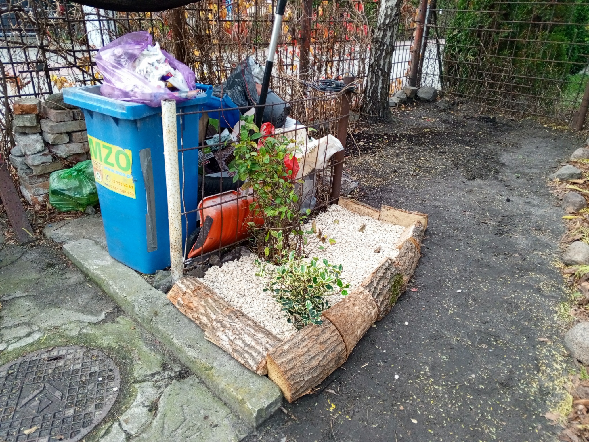 10/2025 - odświeżenie ogrodu u Klientki, Pruszków - zdjęcie 'po'