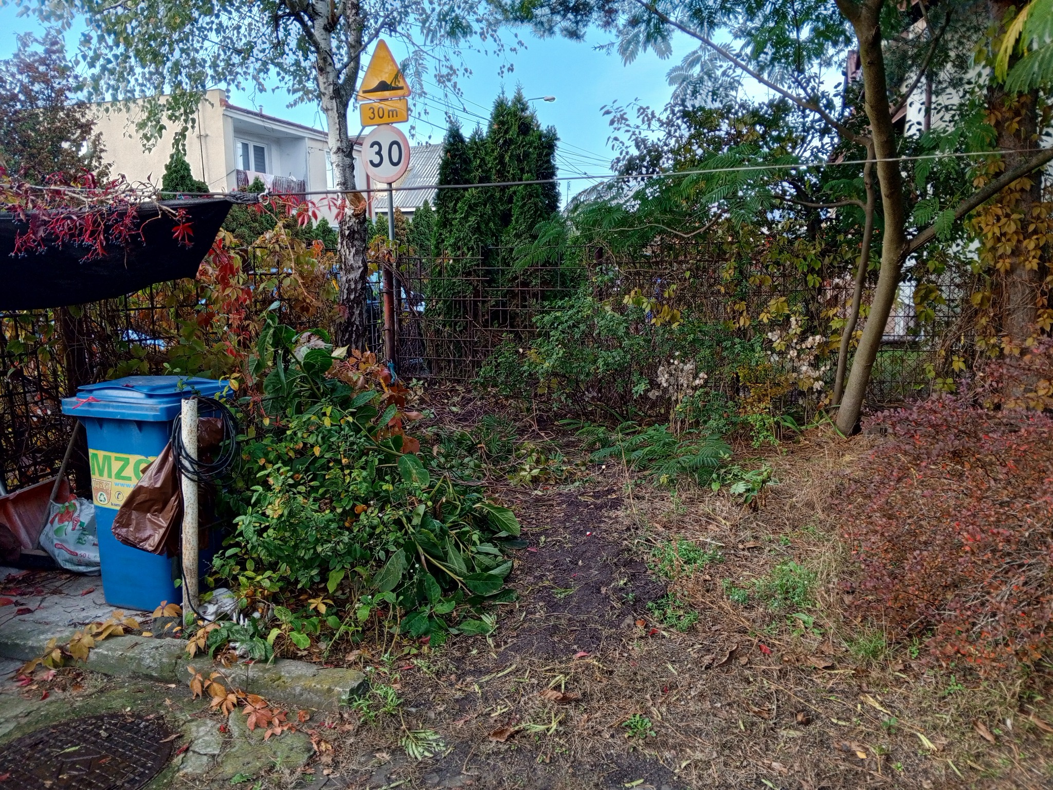 10/2025 - odświeżenie ogrodu u Klientki, Pruszków - zdjęcie 'przed'