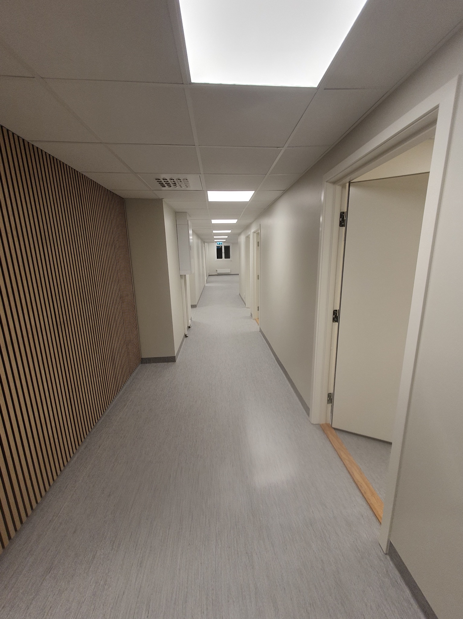 Długi korytarz z panelami ściennymi i rzędem drzwi. Widoczne oświetlenie sufitowe i szara podłoga. Perspektywa zbieżna, podkreślająca głębię wnętrza.