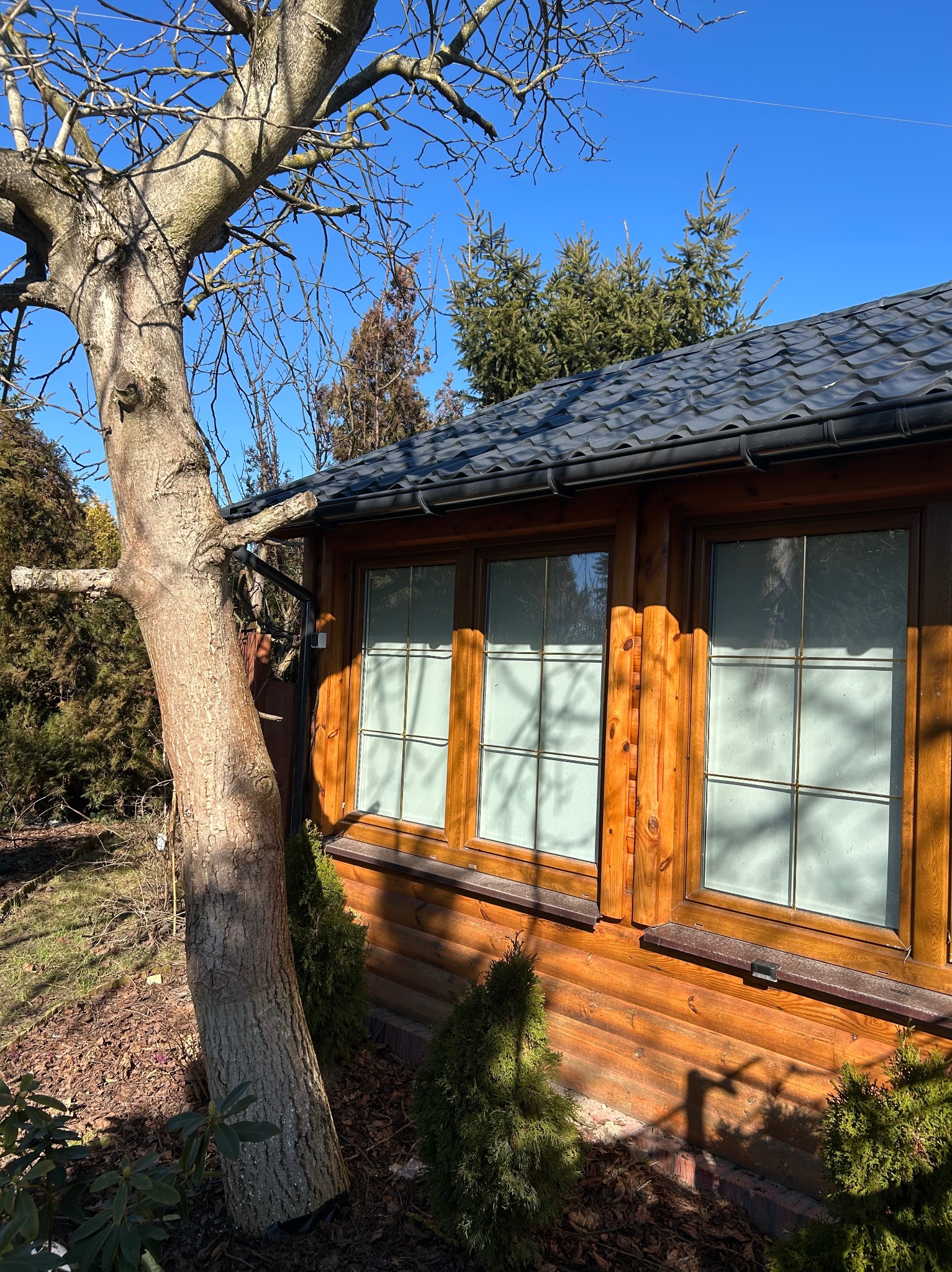 Drewniana altana z ciemnym dachem i jasnymi oknami, widziana z boku, z drzewem na pierwszym planie. Słoneczny dzień, wyraźne detale drewna i otoczenia.