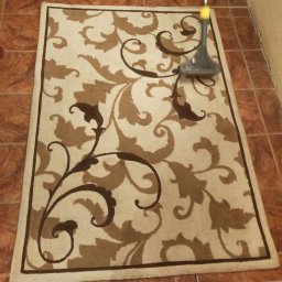 Liszka shop. Ewelina Szurgot - Beżowy dywan z brązowym, roślinnym wzorem czyszczony odkurzaczem piorącym na brązowej, kwadratowej podłodze z płytek.