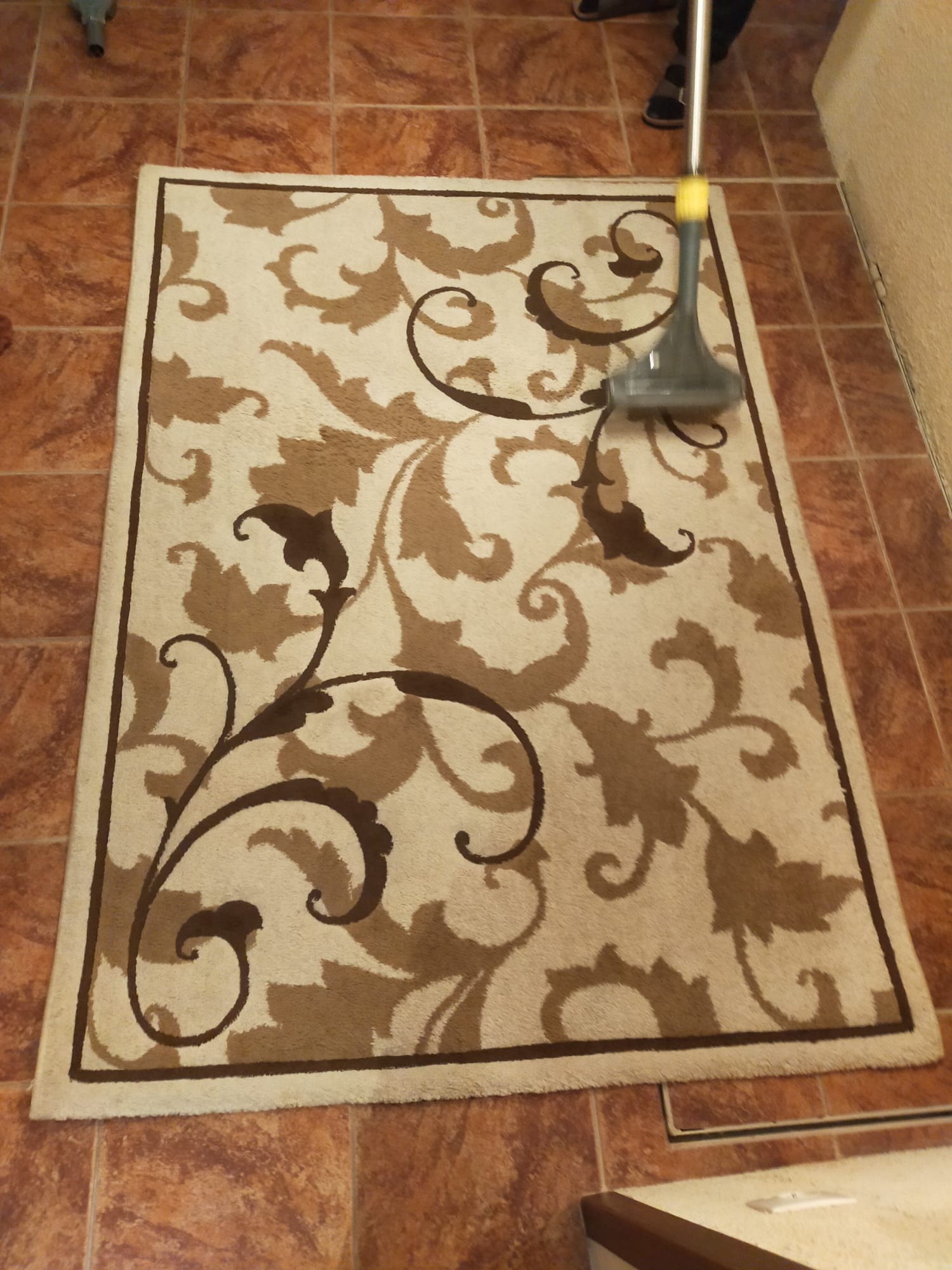 Beżowy dywan z brązowym, roślinnym wzorem czyszczony odkurzaczem piorącym na brązowej, kwadratowej podłodze z płytek.