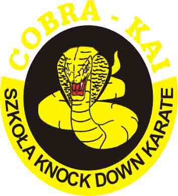 Ulotki, foldery, wizytówki, logo - projektowanie i druk