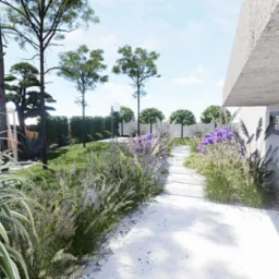 Wizualizacja nowoczesnego ogrodu z białym żwirowym chodnikiem, fioletowymi kwiatami, ozdobnymi trawami i minimalistyczną architekturą domu w tle.